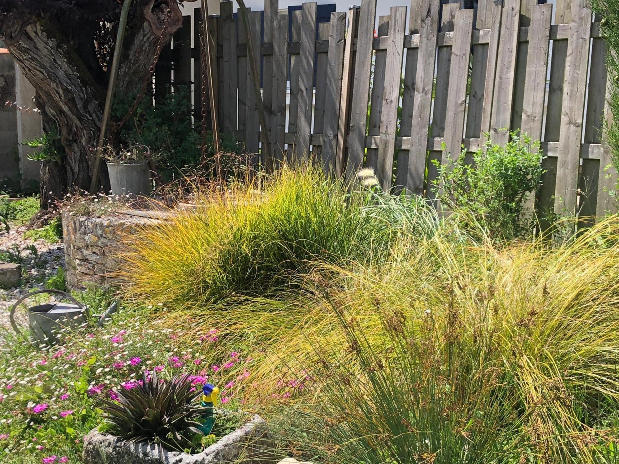 Les Fleurs De Lys, Suites Privee Avec Terrasse Saint-Georges-d'Oleron Εξωτερικό φωτογραφία