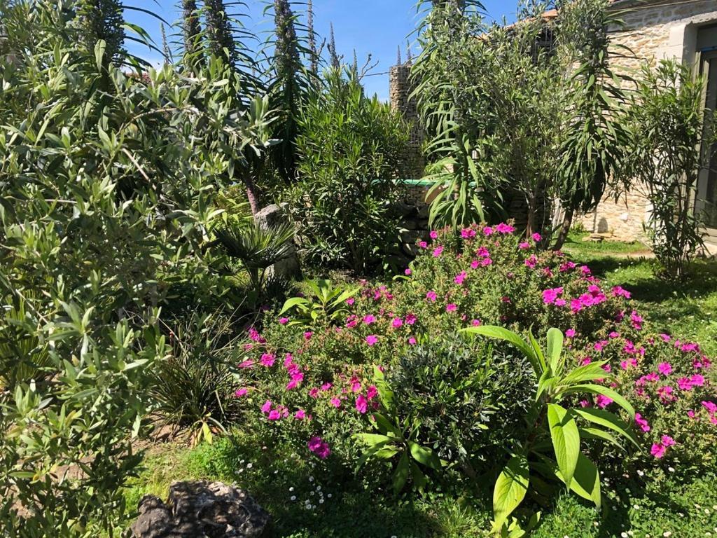 Les Fleurs De Lys, Suites Privee Avec Terrasse Saint-Georges-d'Oleron Εξωτερικό φωτογραφία